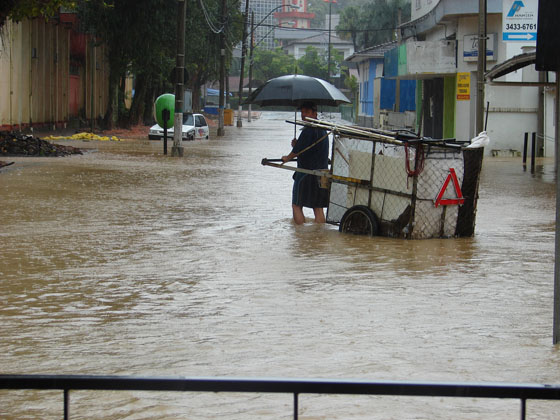 Carroceiro atravessa centro de Joinville alagado (Foto de :Ludimila Castro)