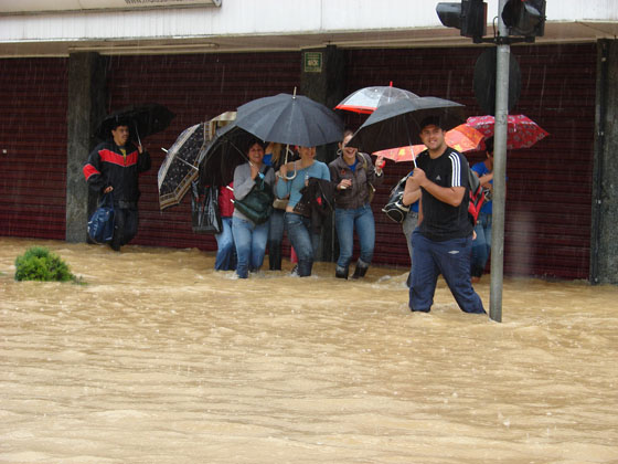 Com guardas-chuvas e dentro da água (Foto de :Ludimila Castro)